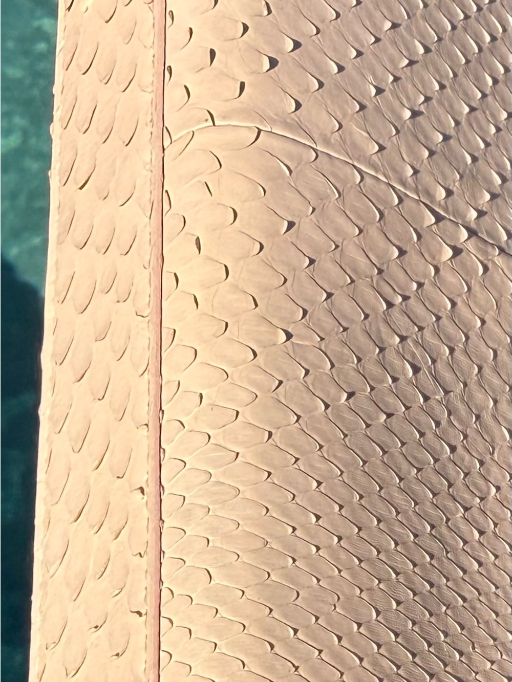 Auth Saint Laurent Python Medium Kate Tassel Bag Blush Pink Beige 2015 w/ COA - Picture 13 of 16